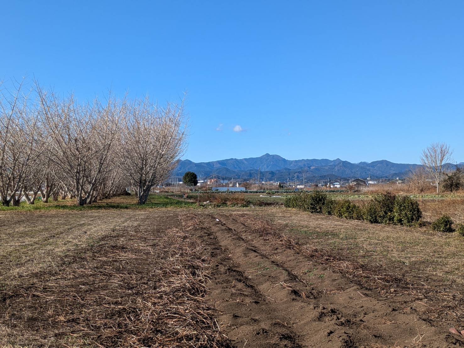 秋多運送について